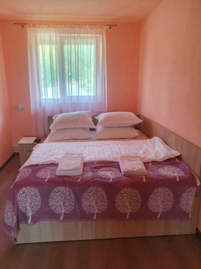 La Bustea Hotel Hartagani Екстериор снимка